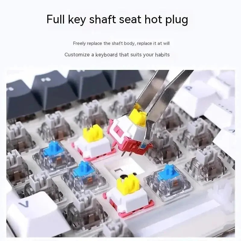 Mechanical keyboard