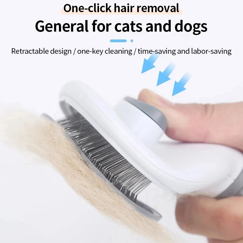 Pet cat hair brush, dog comb