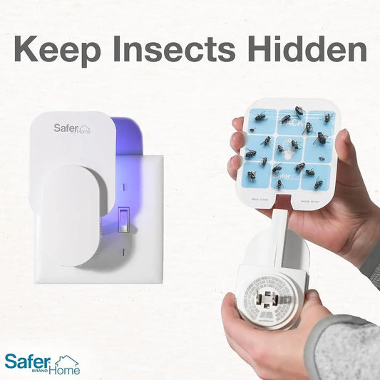 Indoor fly trap, mosquito killer