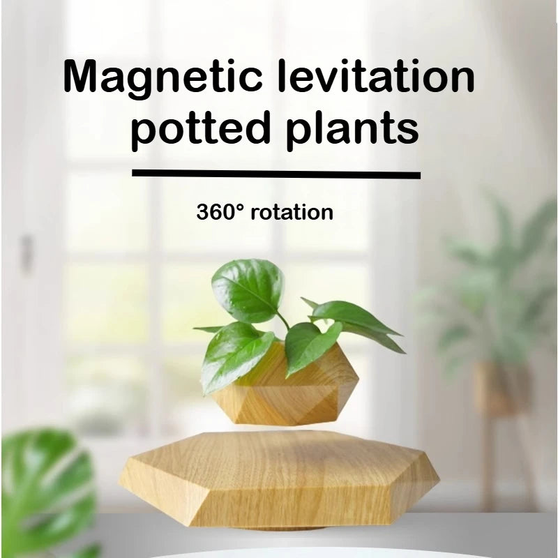Magnetic plants hanging in pots